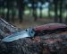 Tactical knife survival and protection difficult conditions, lies trunk tree in forest