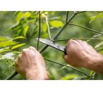 Nož, Lovački, Full-Tang, 22CM, Crni, Neo Tools - Slika 6